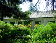 p1180947.jpg