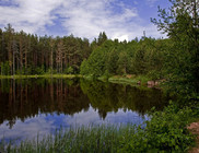 national-park-orlovskoye-polesye-nature.jpg